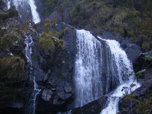 Turísticos San Breixo Apart-hotel Carballo